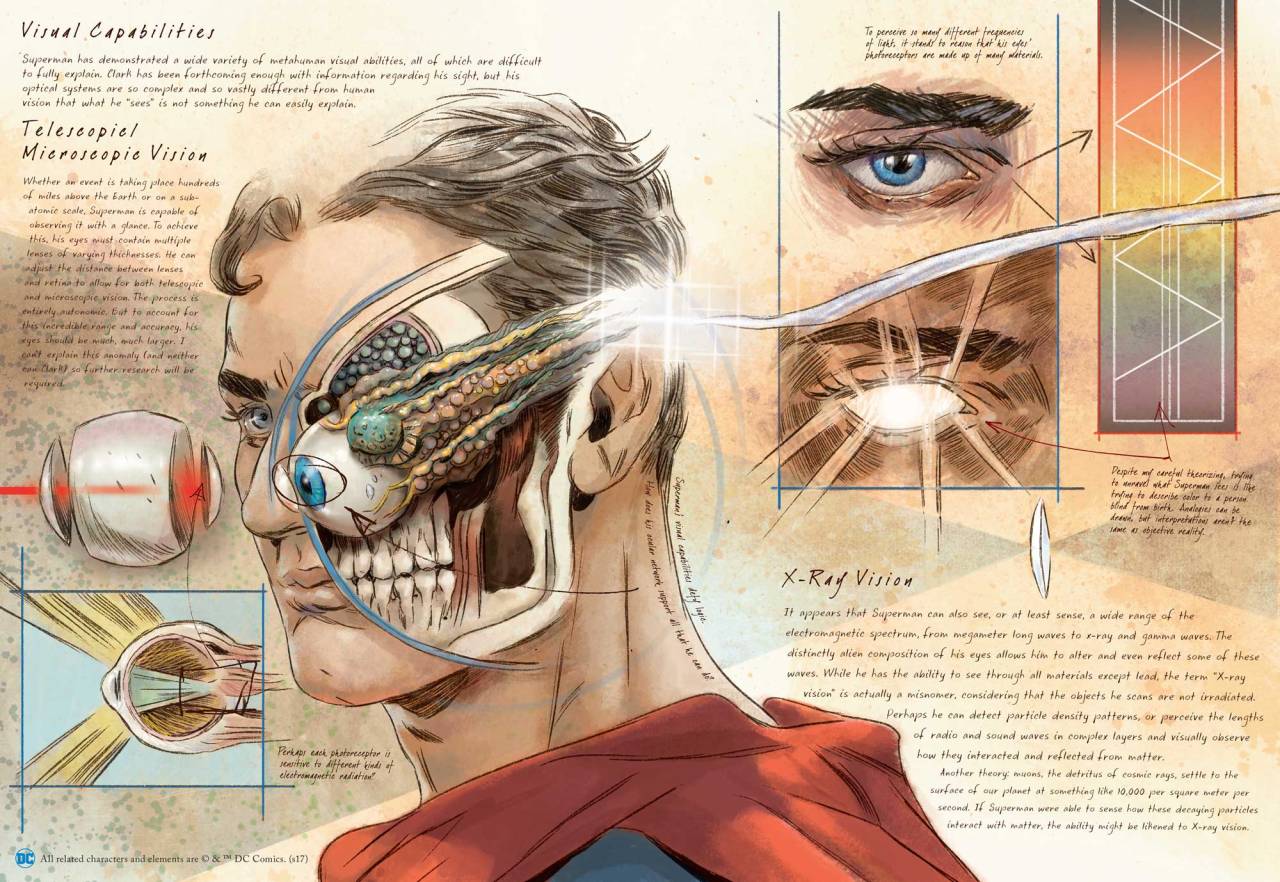 BATMAN NOTES — DC Comics Anatomy of a Metahuman is coming from...