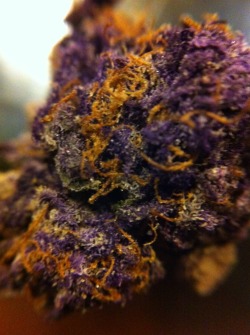 the-stoner-sage:  💜🌟