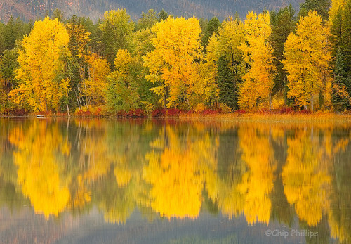 Montana Fall by Chip Phillips on Flickr.