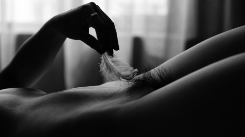 fotogear:  Feather ……
