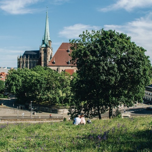 erfurt in may (thüringen, germany)instagram: morningtrainpoetry