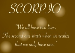 thecentaurastrologyblog:  #Scorpio daily