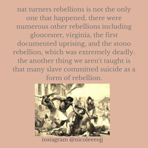 XXX inickel:here’s some facts about slavery photo