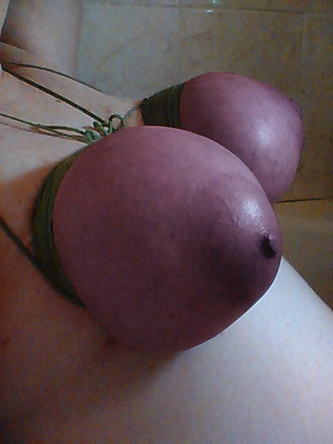 bushmaster60:  mr-filthy-torture: I like them purple and hard! I like them tightly tied dark purple 
