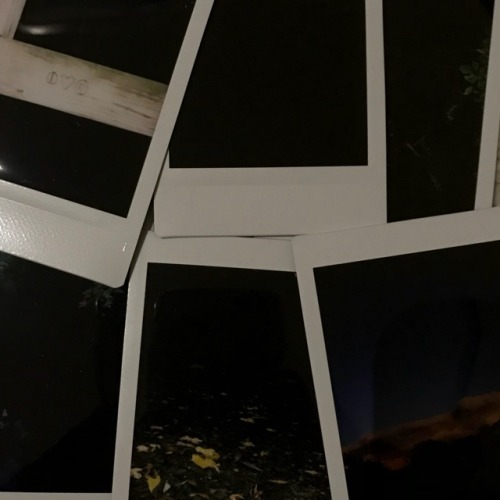 seoub:2014 me loved taking lq polaroid pictures