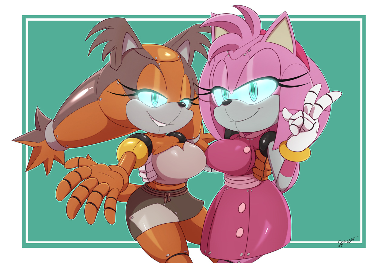 Amy Rose vs robot (Sonic) {Commission} by Avioylin on Newgrounds