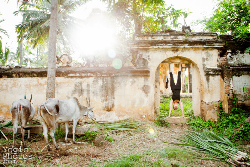 Denise in Srirangapatna, India. Christine Hewitt © yogicphotos.com