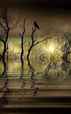 dranilj1:  Twilight Reflected