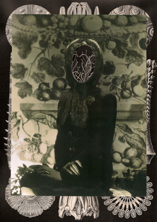 talweg-wolves:  (Calire Pestaille) 