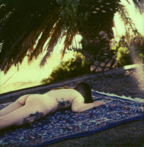 sarahelisephotography:  Photo By: Sarah Elise Abramson  voll schön