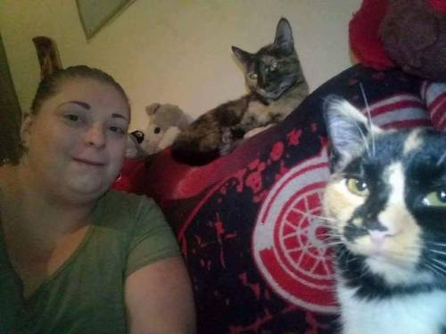 animaprincess1:My 3 little angels and 2 fur-nieces@mostlycatsmostly