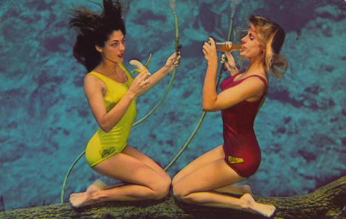 retrogasm: 1968 Weeki Watchee Springs, Florida 