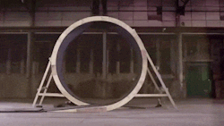 sixpenceee:   Human Loop We’ve seen people on skateboards and motorcycles loop the loop many times. Damian Walter is the first human to do it on foot. To run it without falling, you need to reach the right speed; then, centrifugal forces  will keep