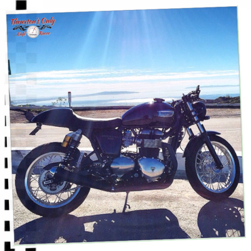 thruxtonsonly:  XDiv.’s photo Day at the adult photos