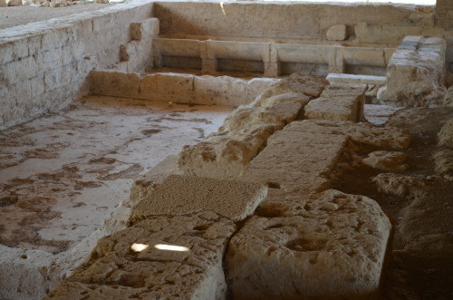 greek-museums:Ancient Nemea:The public bath of Ancient Nemea, the Temple of Zeus of Nemea, the stoa 