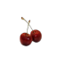 tayrusselled
