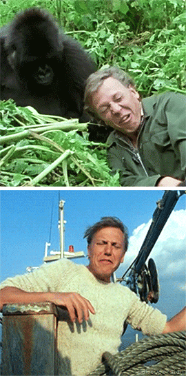 idlesuperstar:  Happy 90th Birthday David Attenborough [b: 8th May 1926] It seems