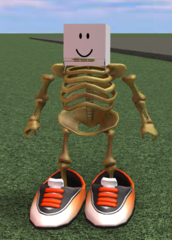 robloxhellzonepremium:the frick you looking