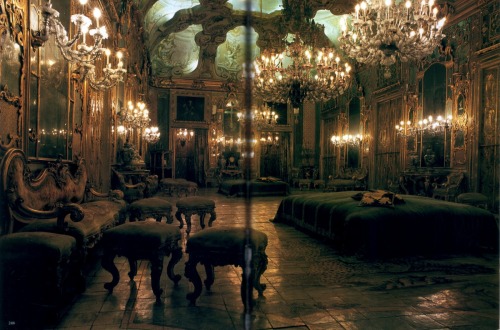 aanonymouse4o: o-1968:The hall at Roissy ChateauHe was shown the magnificent Hall 