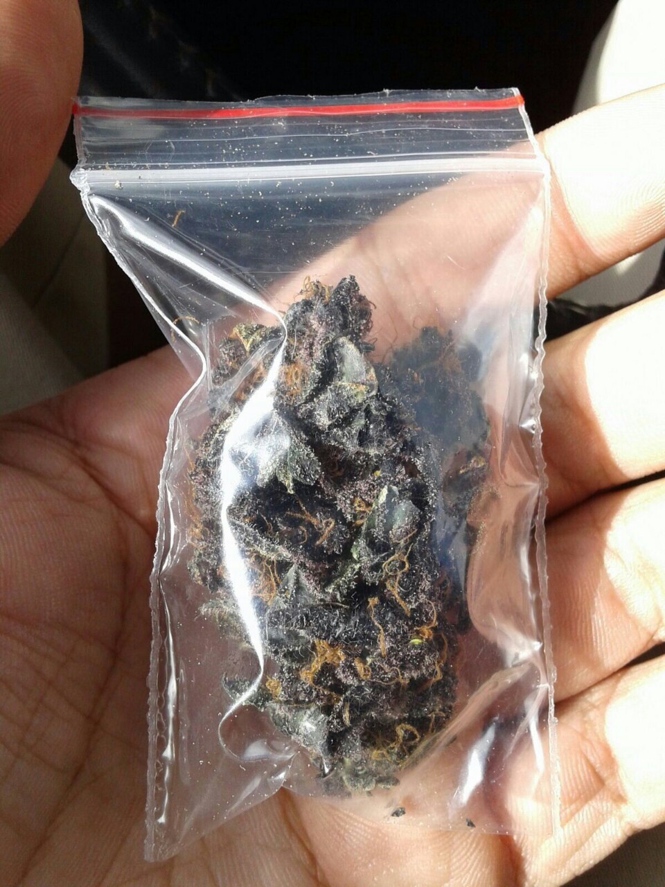 Weed,Pussy,Local.