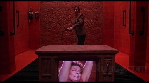 brundleflyforawhiteguy:  Videodrome (1983) 