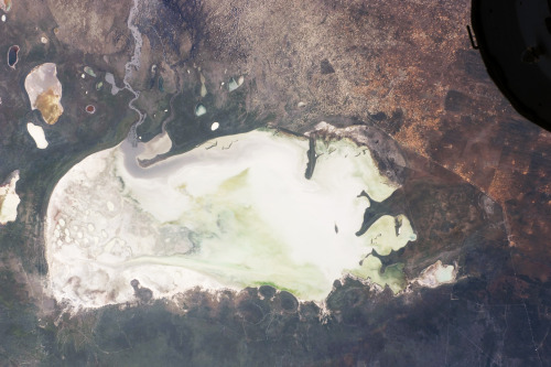 Etosha PanIn the Northern plains of Namibia lies the skeleton of a great lake that died of thirst mi