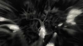 bahtmun:  What’s life without a few dragons?