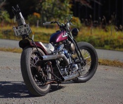 Motorcycles/Custombikes