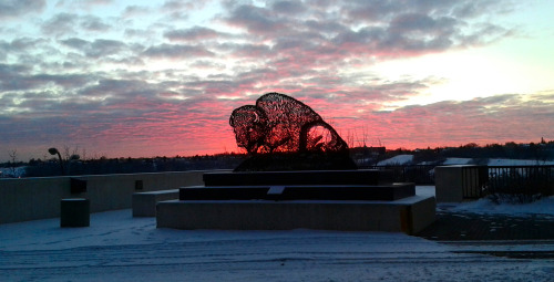 Sunrise at the Shaw Conference Centre