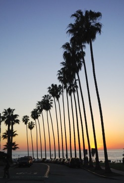 &hellip;&hellip;..The ONE thing you actually WON&rsquo;T see in Twenty Nine Palms, California,&hellip;&hellip;&hellip;.real palm trees!!