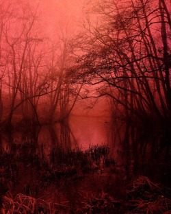 nonalimmen:  A Red Dawn. © Nona LimmenWebshop