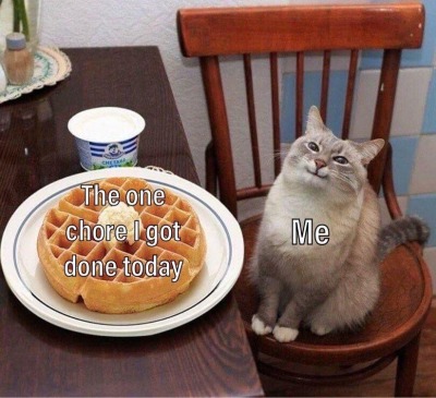dankmemeuniversity: