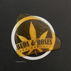 coralreefer420:  Chernobyl shatter, Buds and Roses 