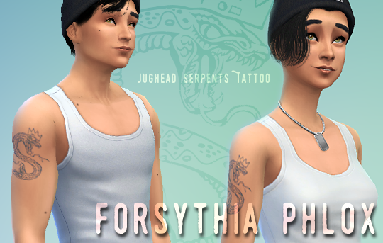 Forsythia Phlox — Jughead's...
