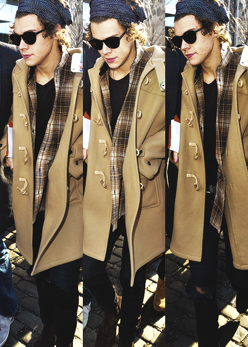 sstyles:  x 