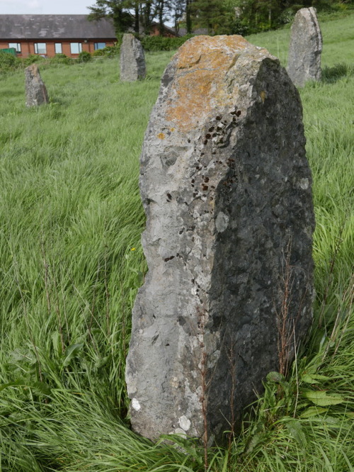 Llangefni Eisteddfod Stone Circle, Anglesey, North Wales, 13.5.17. A modern stone circle that is now