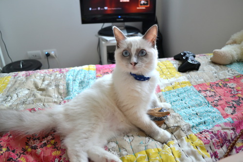He&rsquo;s very protective of his favourite toy.