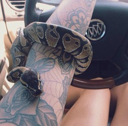 Tattoo blog