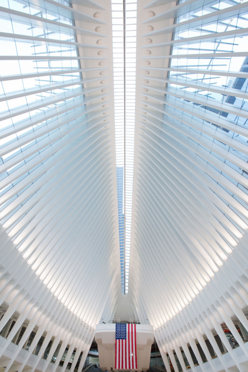 iheartmyart: Architect Santiago Calatrava’s World Trade Center Transportation Hub aka the