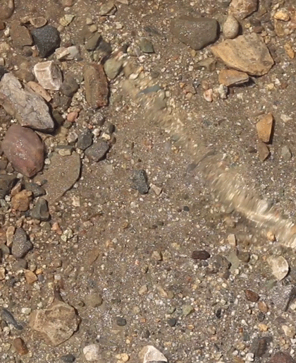rivermusic:  Backwater Waves gif by rivermusic, June 2015 