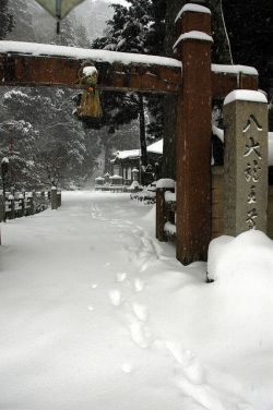 bluepueblo:  Snow Gate, Japan photo via tisha 