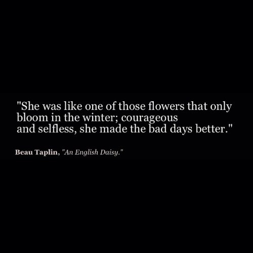 the art of poetry