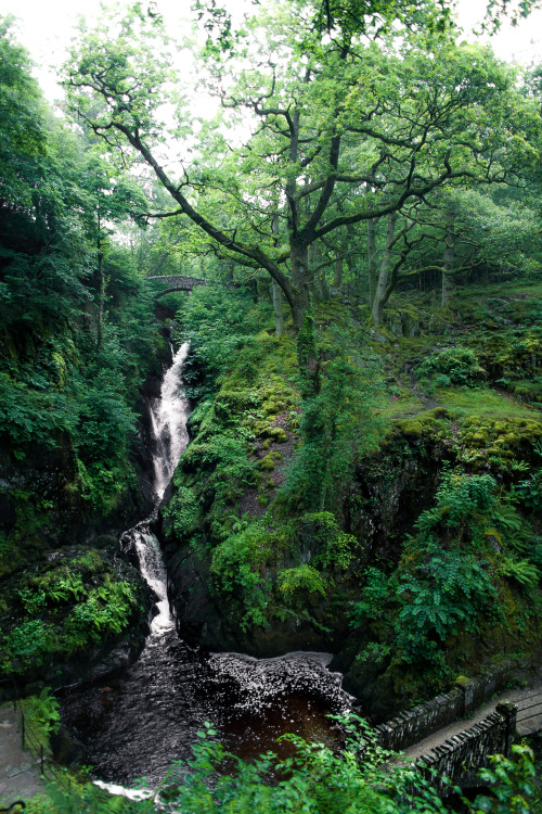 freddie-photography:  Forests and Fog - Oxfordshire & Cumbria9 new presets to download for Lightroom editing at Creativemarket.com. Version 1.4 now offers a total of 64 presets for a large range of photography.By Frederick Ardley Photography