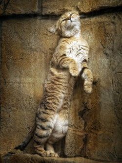  (via 500px / Stretch by Glen Unsworth) 