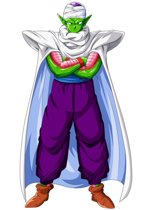 Your fave is Muslim: Piccolo (Dragon Ball Z)