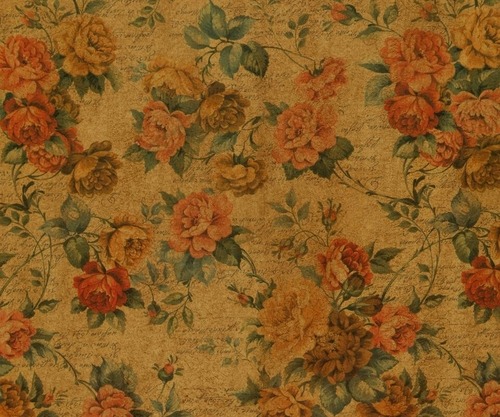 frejamlz:  Vintage ♥ on We Heart It. http://weheartit.com/entry/82479367/via/clarab
