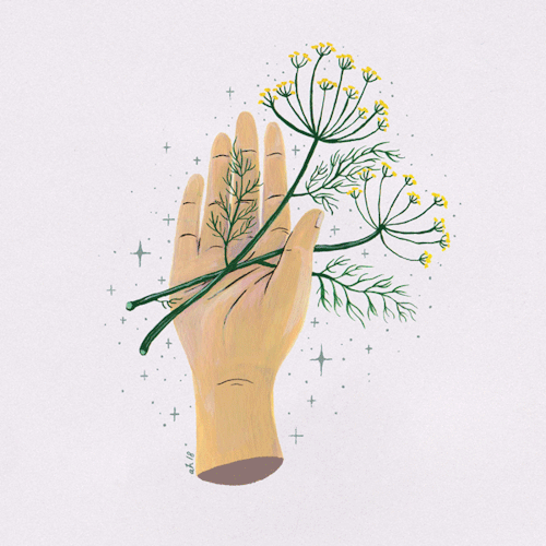 amandaherzman: first half of my herbal hand series gathered together. in order from top left; gemini