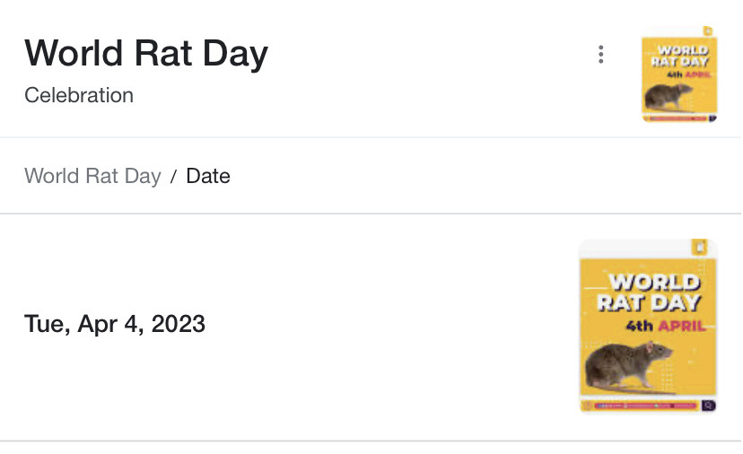 todaysbird:HAPPY WORLD RAT DAY!!! porn pictures