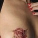 cheffitup:tim72roberts:mf-0174:masonjarsandshine:Mega 😍 nice rose 🌹 Now thay looks like it was painful.🌹