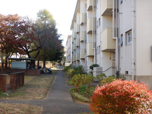 常盤平団地（TOKIWADAIRA　DANCHI）（1960年）松戸市常盤平（TOKIWADAIRA　MATSUDO　CHIBA　JAPAN　）2020年